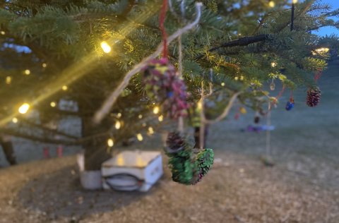 Það er mikið um að vera á aðventunni