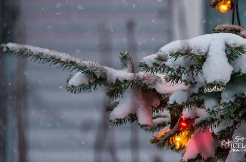 Myndir Rafns Sigurbjörnssonar á heimasíðu