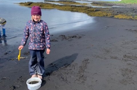 Leikjanámskeið sumarið 2020