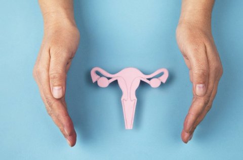 Skimun fyrir leghálskrabbameini hjá HSS