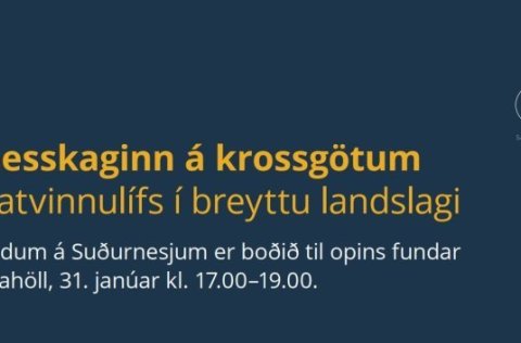 Reykjanesskaginn á krossgötum – þróun atvinnulífs í breyttu landslagi