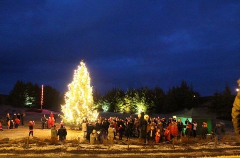 Ljósin á jólatrénu tendruð