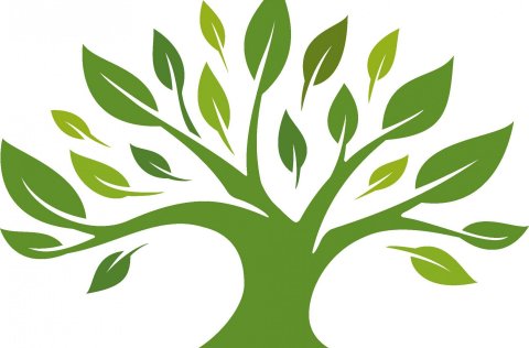 Umhverfisvika Sveitarfélagsins Voga 2019