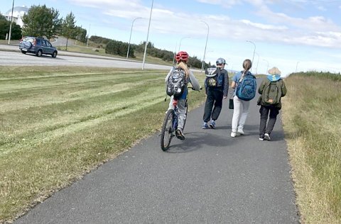 Ungir vegfarendur í umferðinni