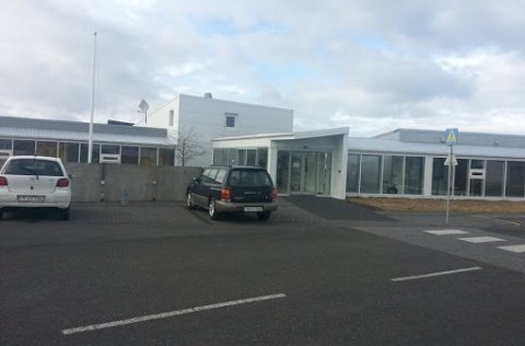 Starf í Álfagerði - afleysing