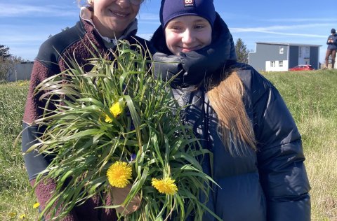 Vinnuskólinn - Landvernd og skyndihjálp